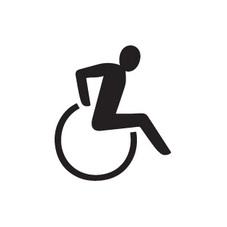 (PIC15)Disabile