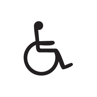 (PIC3)Disabile